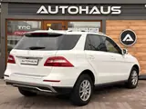 Mercedes ML250 2015 — фото 6