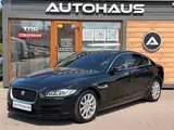 Jaguar XE 2015 — фото 2